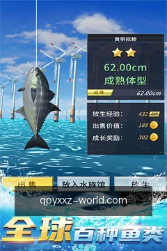 快捷频道入口